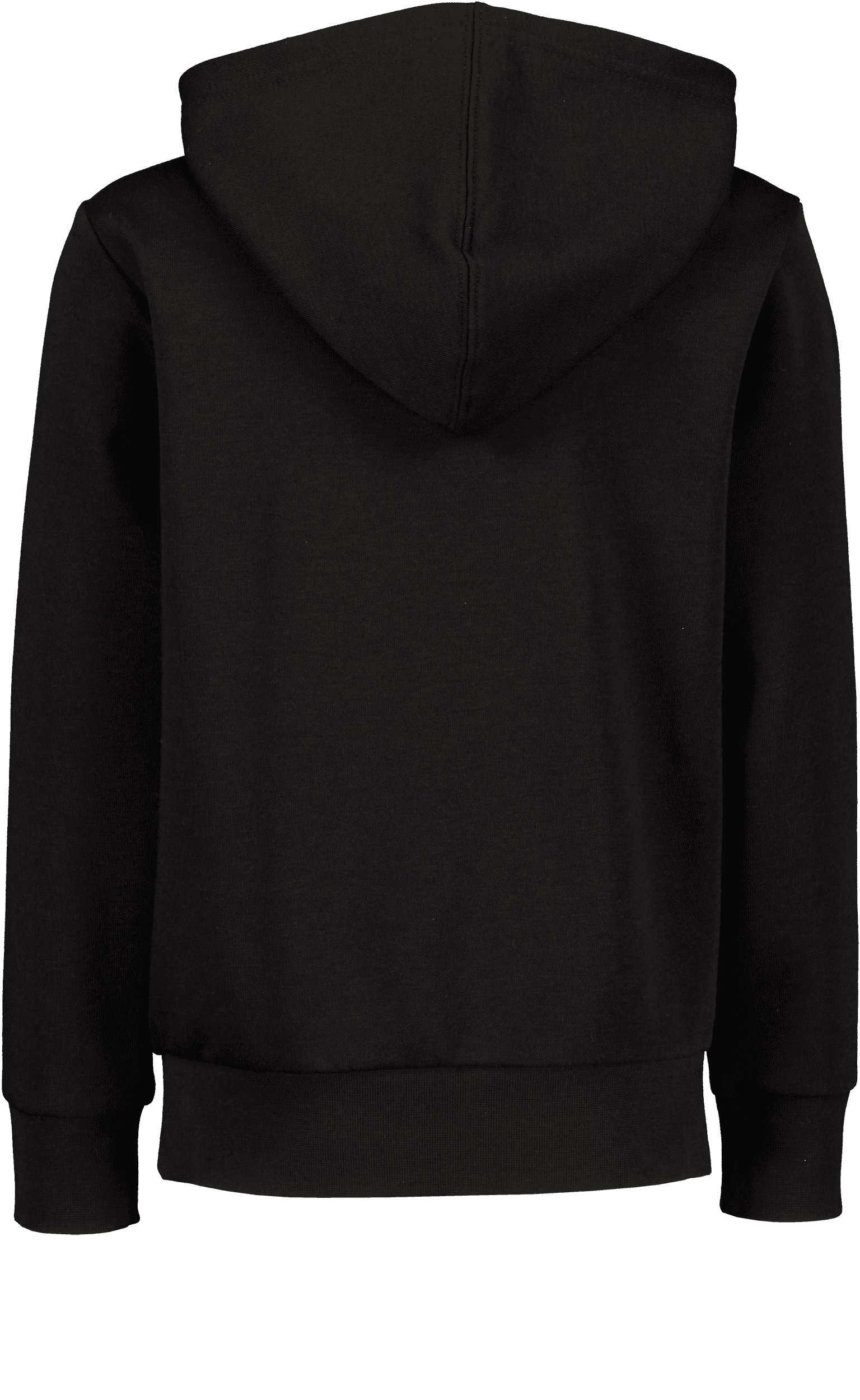 Champion, HOODED SWEATSHIRT JR, Detail 1