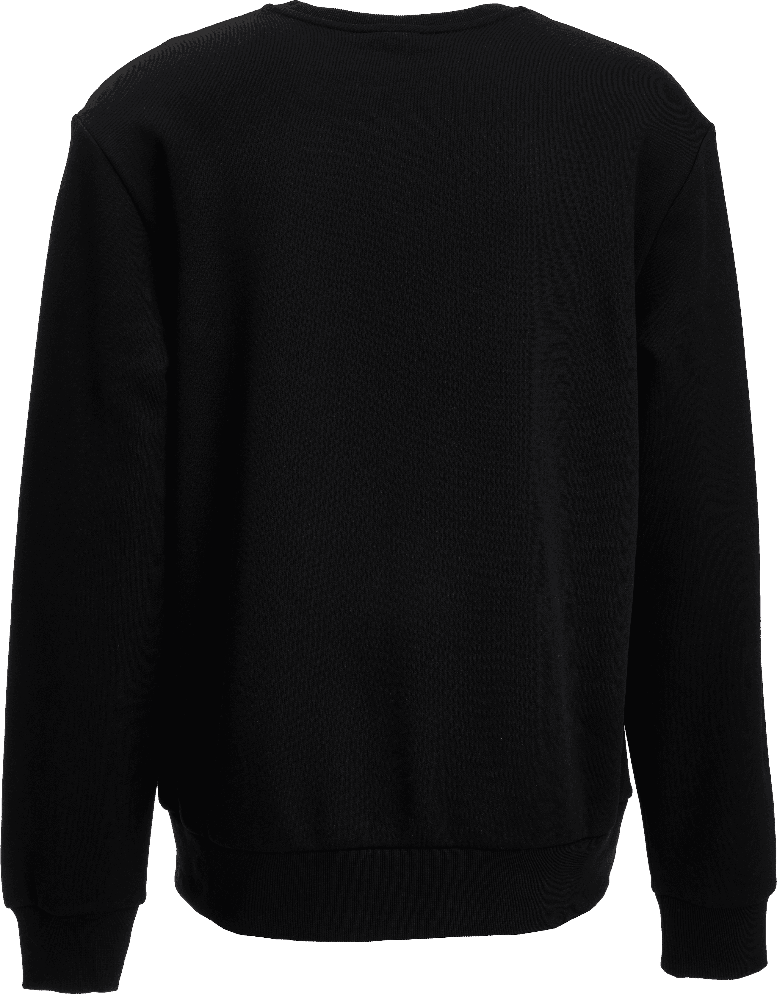 Champion, CREWNECK SWEATSHIRT, Detail 1