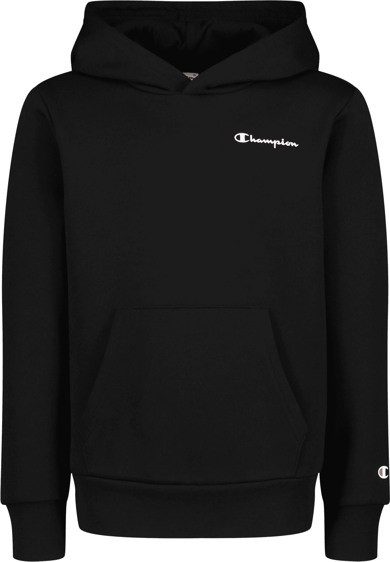 Champion, HOODED SWEATSHIRT, Product 0