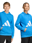J BL FT HD 280, Blue