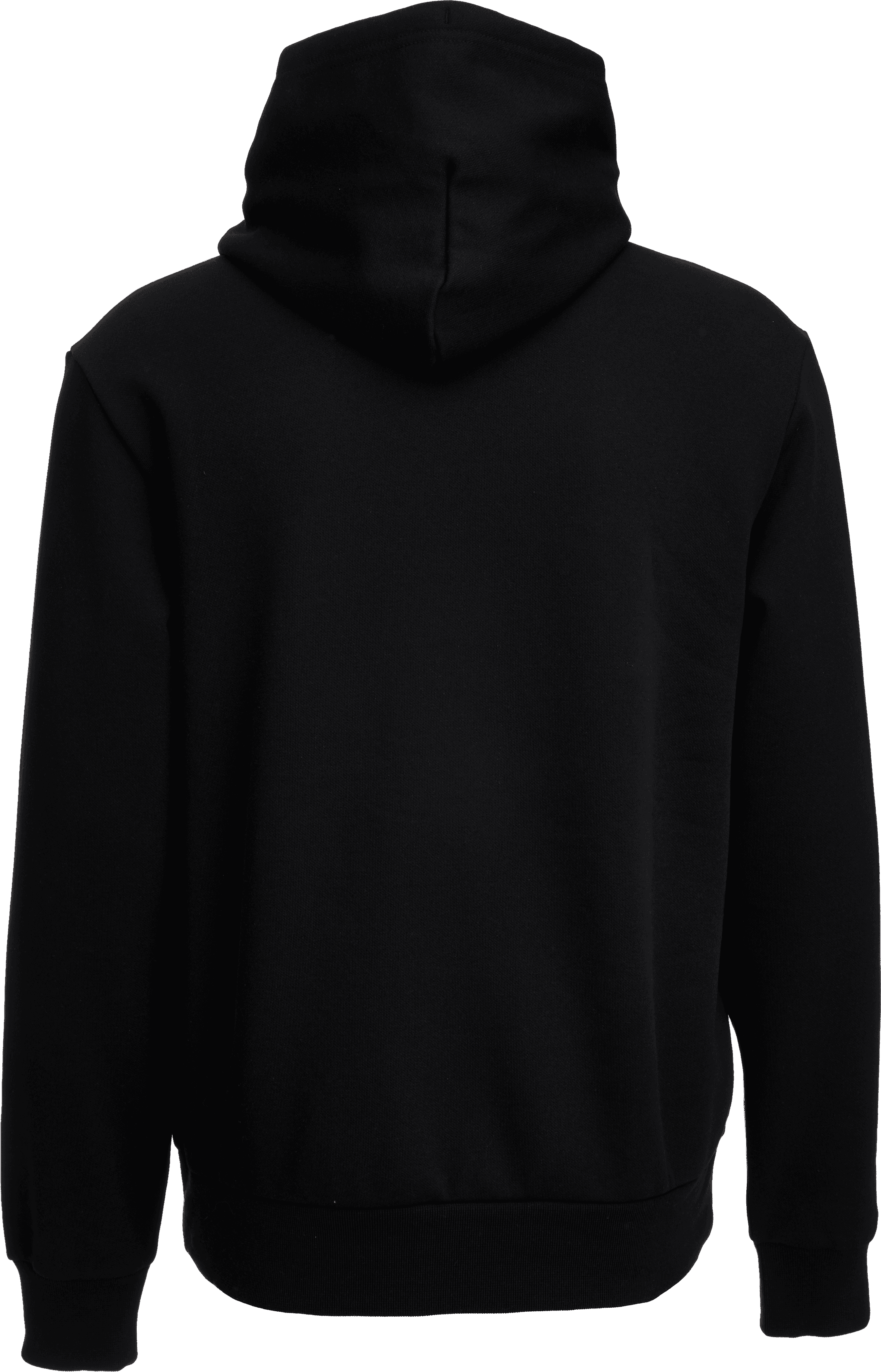 Champion, HOODED SWEATSHIRT, Detail 1