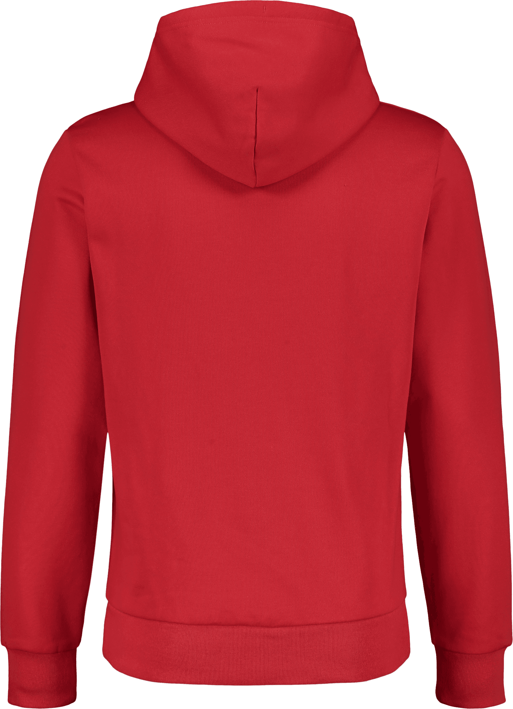 Champion, HOODED SWEATSHIRT, Detail 1