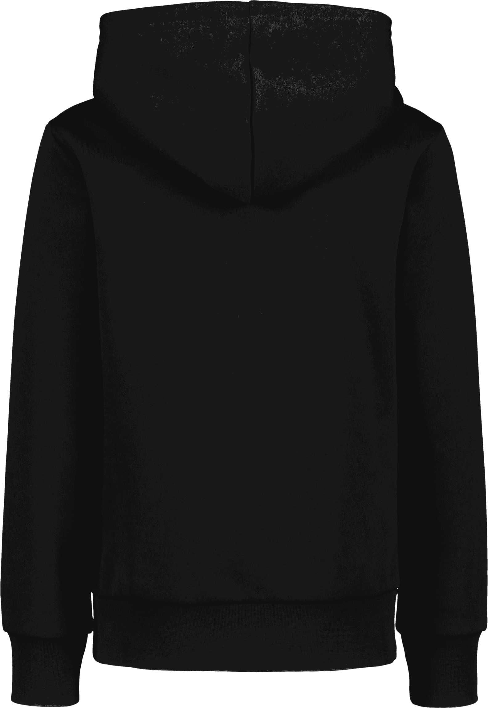 Champion, HOODED SWEATSHIRT, Detail 1