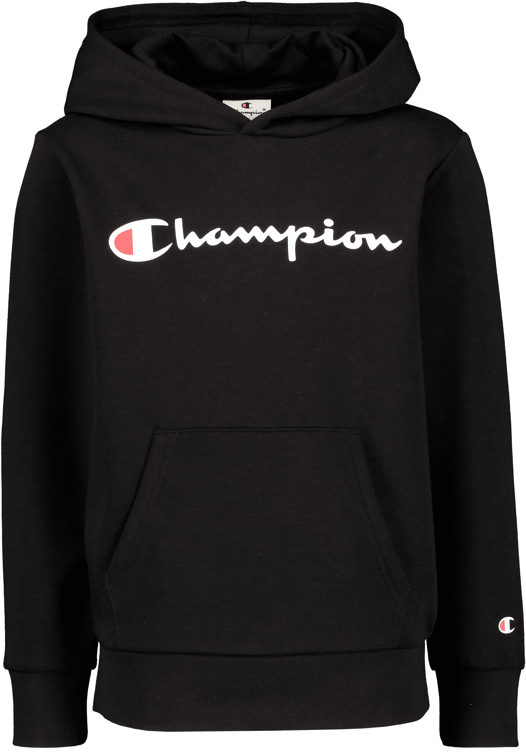 Champion, HOODED SWEATSHIRT JR, Product 0